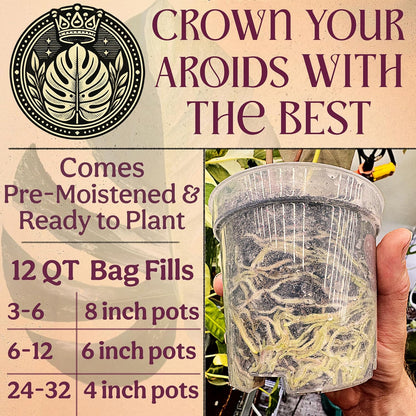Craft Aroid Potting Mix- Elite Alocasia, Philodendron, Monstera Soil Mix, Chunky, Well Draining Potting Soil for Indoor Plants, All Tropical Plants & Houseplants, Peat Free 12QT