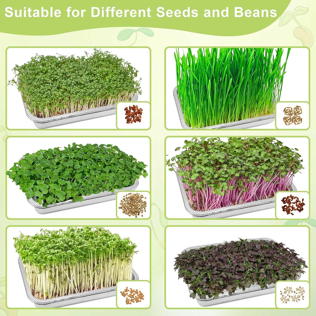 Stainless Steel Sprouts Growing Kit 2-Tier 14 inch Trays, Microgreens Growing Kit, Seed Sprouting Tray with Encrypted Mesh Sprouts for Beans Alfalfa Broccoli Wheat Grass
