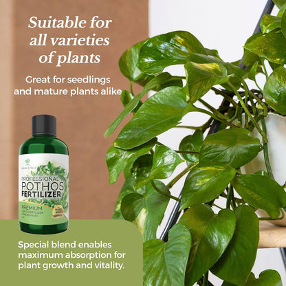 Professional Liquid Pothos Plant Fertilizer | 3-1-2 Concentrate for Epipremnums and Houseplants | Multi-Purpose Blend & Gardening Supplies | 8 oz Bottle
