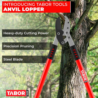 TABOR TOOLS GG12A Anvil Lopper with Compound Action, 30 Inch Tree Trimmer, Thick Branch Cutter with ⌀ 2 Inch Cutting Capacity, Chops Thick Branches with Ease.
