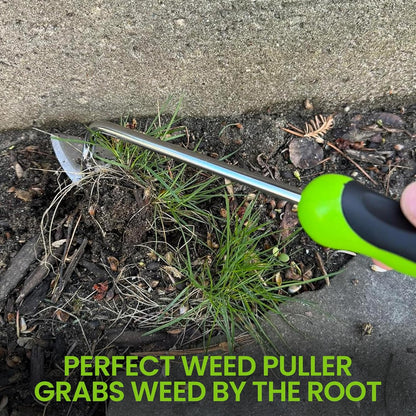 Garden Guru Root Weeder Tool with Ergonomic Handle - Stainless Steel Weed Puller for Planting, Weeding, Flower and Vegetable Care in Lawn Garden Yard | Rust Resistant (2 Pack)