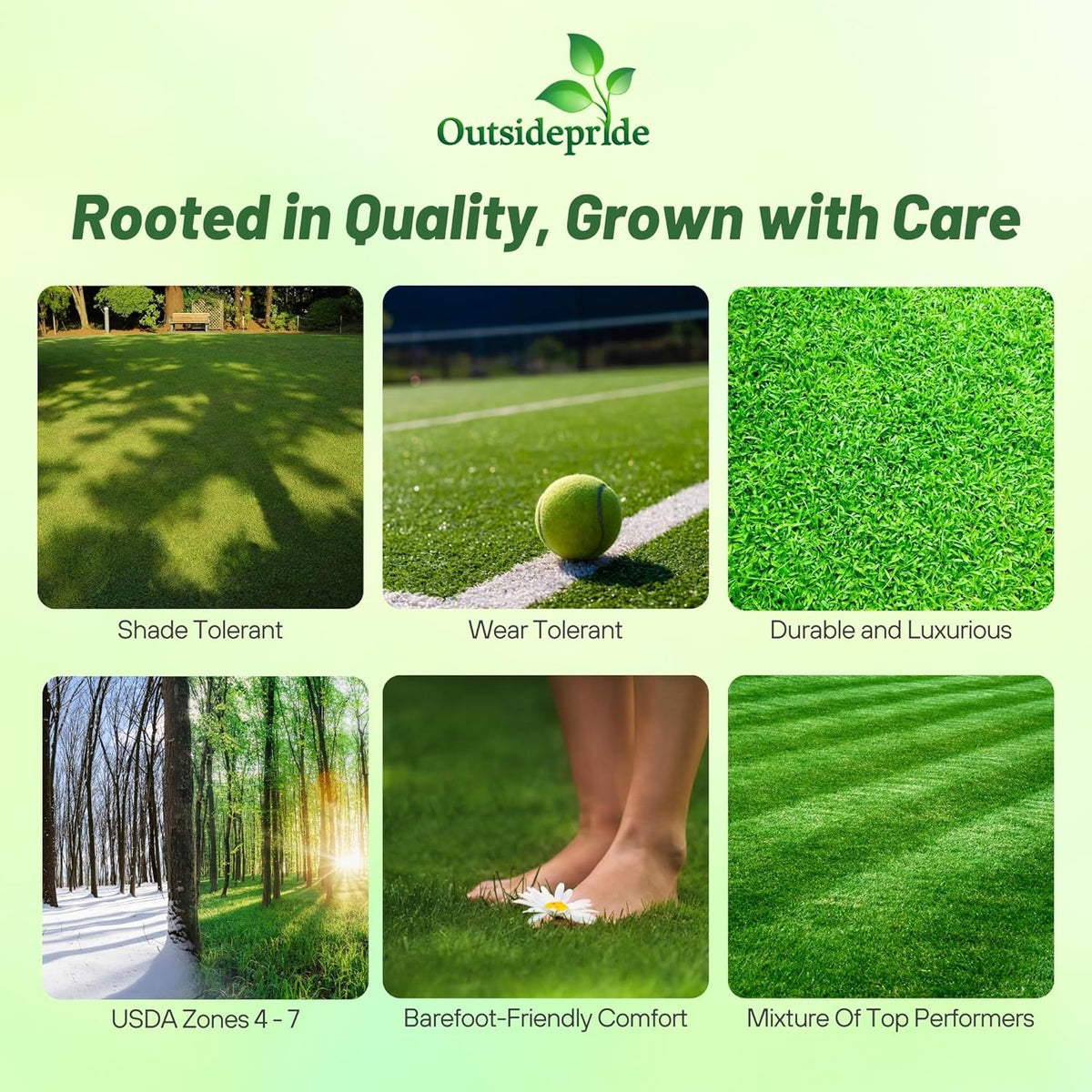 Outsidepride Showtime Perennial Lawn Grass Seed Mix - 25 lbs. Premium Blend of Creeping Red Fescue, Rye Grass & Kentucky Bluegrass Seed for Sports Fields, OptiGrowth Coated for Better Establishment