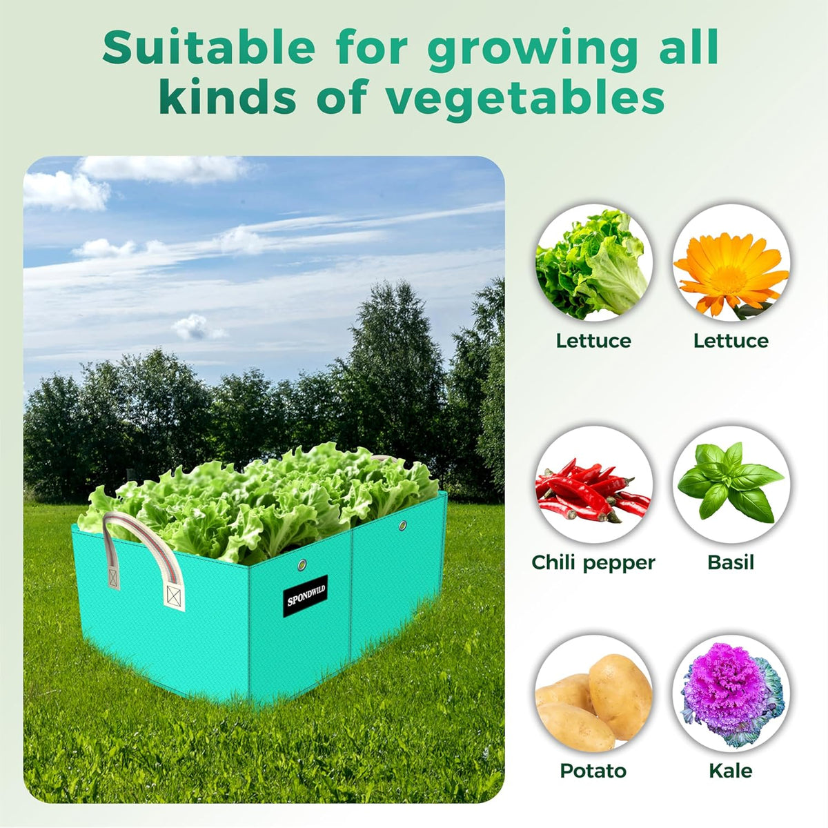 2 Pcs 10 Gallon Rectangle Grow Bags for Growing Potatoes, PE Pots Potato Pots Growing Containers Potato Planter Potato Planter for Growing Potatoes, Green