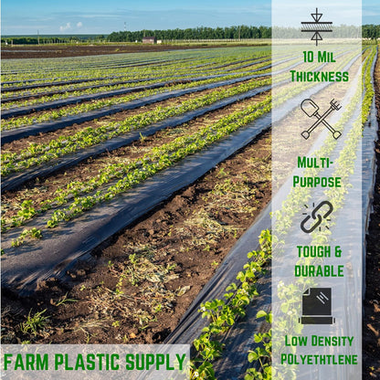 Farm Plastic Supply - Black Plastic Sheeting - 10 mil - (2.5' x 100') - Polyethylene Vapor Barrier Plastic Tarp, Black Painters Tarp, Heavy Duty Roll