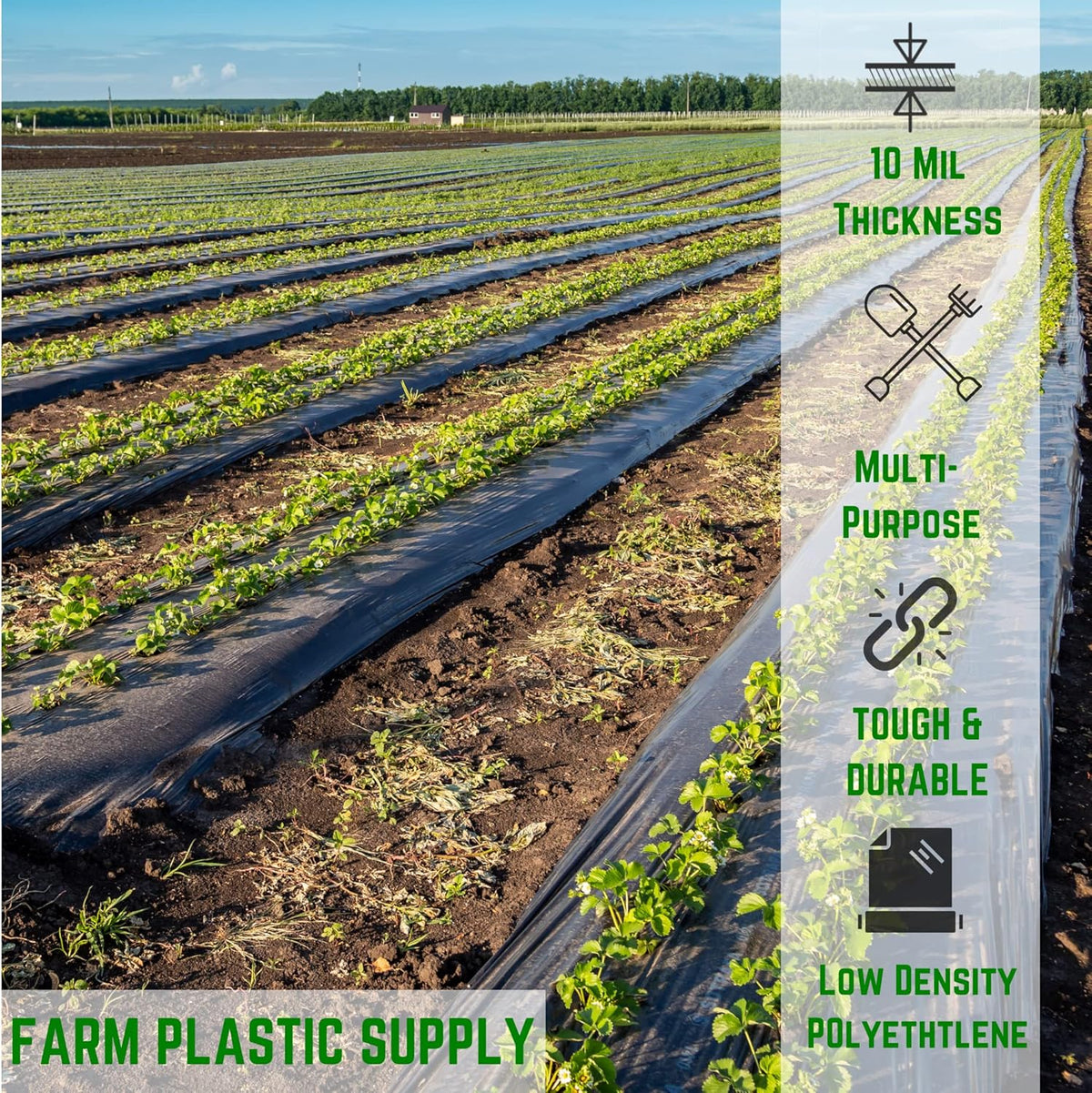 Farm Plastic Supply - Black Plastic Sheeting - 10 mil - (24' x 100') - Polyethylene Vapor Barrier Sheeting, Black Painters Tarp, Roll of Heavy Duty Plastic