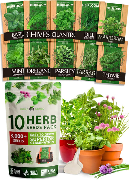 HOME GROWN 10 Herb Seeds for Planting 3,000+ Non-GMO Heirloom Seeds | Extra Large Variety Pack Herb Kit – Indoor Outdoor & Hydroponic | Culinary Seed Set | Grow Your Own Herbs | Gift for Beginners