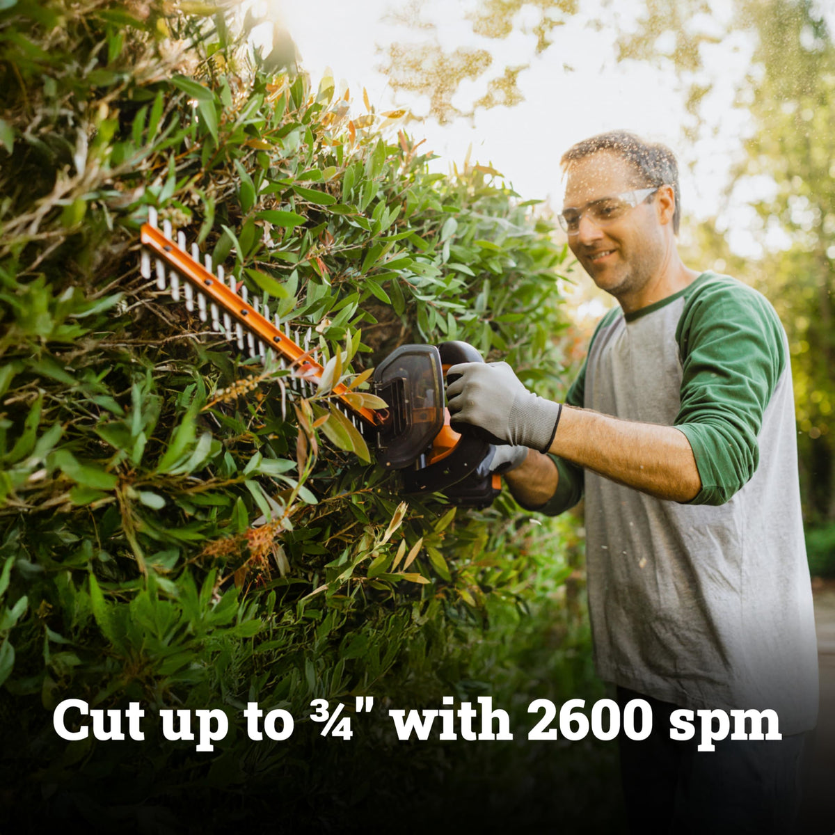 WORX 22" Cordless Hedge Trimmer, Electric Hedge Trimmer with Dual-Action Blades, Lightweight Bush Trimmer with 5.5 LBS, Battery & Charger Included, WG261