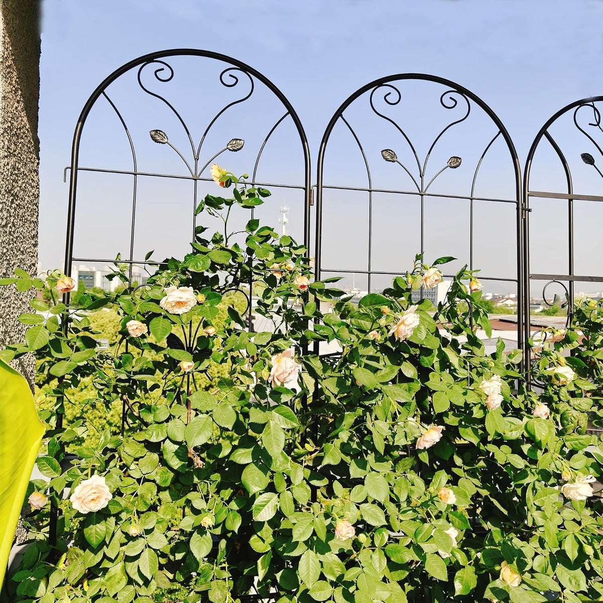 Garden Trellises, 4 Pack Black Metal Coated Rustproof Trellis for Climbing Plants Outdoor, Roses, Vines, Flowers, and Vegetables-19.7×86.7 inches
