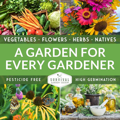 Mexican Serrano Pepper Seeds for Planting | Fresh Hot Chili & Green Hot Pepper Seeds – Heirloom Non‑GMO Variety for Sauce, Pickling & Salsa – Survival Garden Seeds (1 Pack)