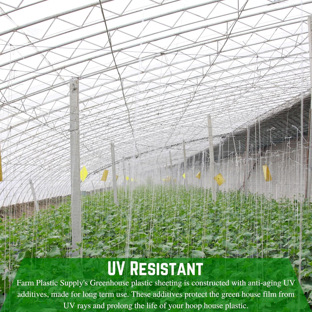 Farm Plastic Supply - String Reinforced 4 Year UV Resistant 10 mil Clear Greenhouse Plastic Sheeting - 4 Year UV Resistant Polyethylene Greenhouse Film, Hoop House Green House Cover (32' x 60')