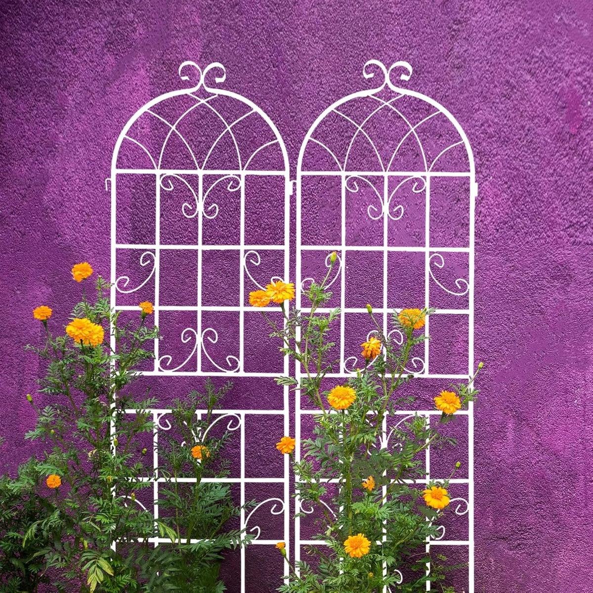 Metal Garden Trellis Rustproof Trellis for Climbing Plants Outdoor Flower Support Butterfly Deco (Cream White-2 Pack, 71"x19.7")
