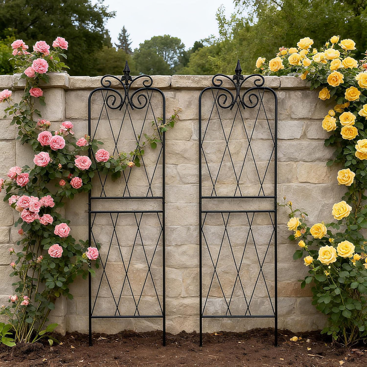Garden Trellis for Climbing Plants 59inch x15inch Rustproof Metal Vine Trellises for Outdoor Climbing Plants Support Structures A (150cm) 2Pack