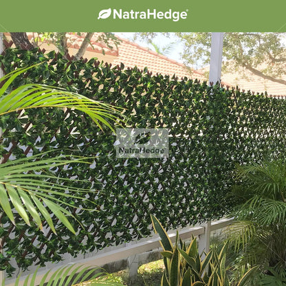 NatraHedge Artificial Ficus Leaf Expandable Lattice