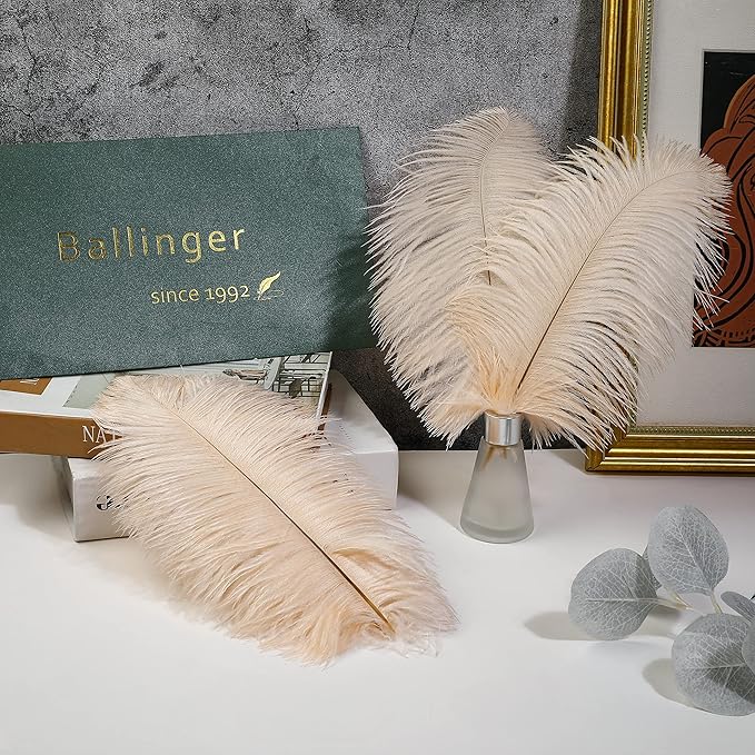 Ballinger Light Salmon Ostrich Feathers - 24pcs 12-14inch Big Feathers for Crafts，Wedding Party Centerpieces and Home Decor