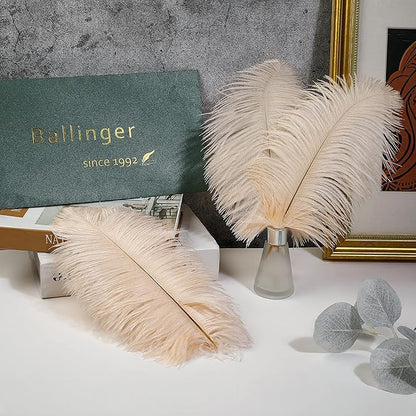 Ballinger Light Salmon Ostrich Feathers - 24pcs 12-14inch Big Feathers for Crafts，Wedding Party Centerpieces and Home Decor